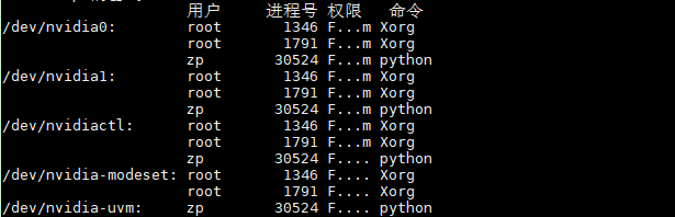 占用GPU显存的进程